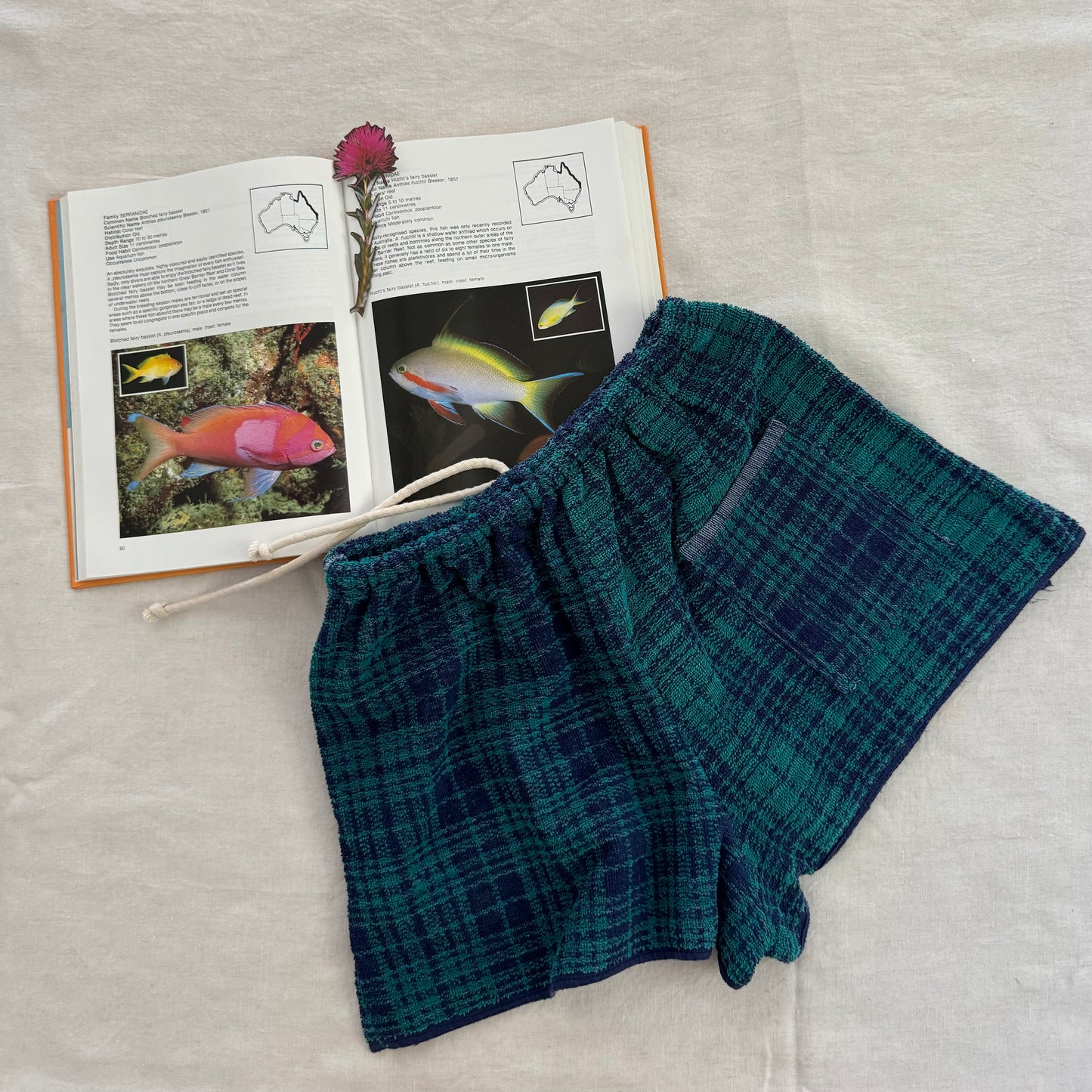 Towelling Short - green blue check