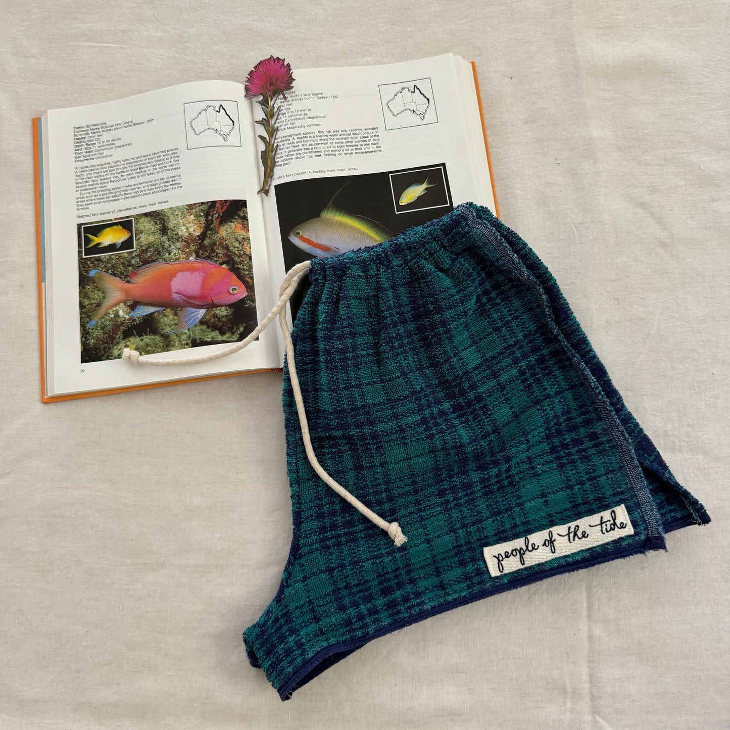 Towelling Short - green blue check